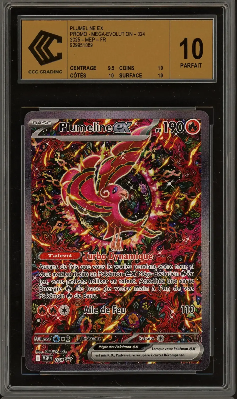 CCC 10 Plumeline Ex
