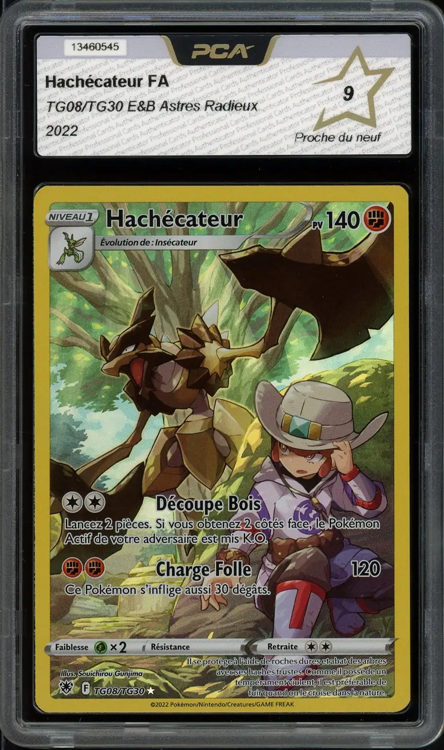 PCA 9 Hachécateur