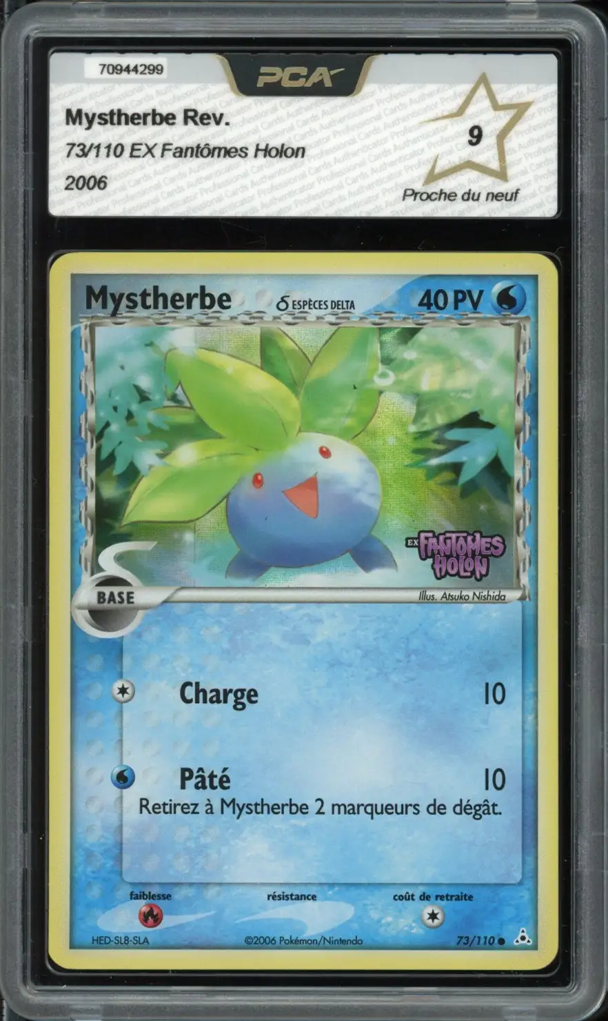 PCA 9 Mystherbe Reverse