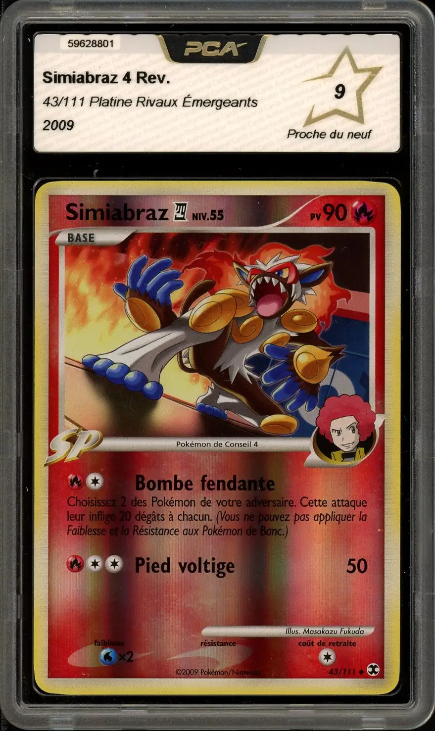 PCA 9 Simiabraz 4 Reverse