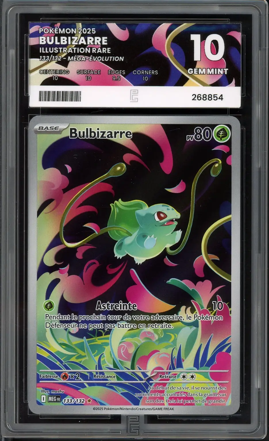 PG 10 Bulbizarre