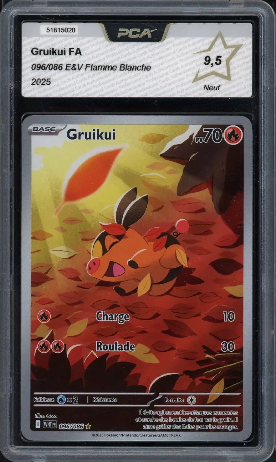 PCA 9.5 Gruikui
