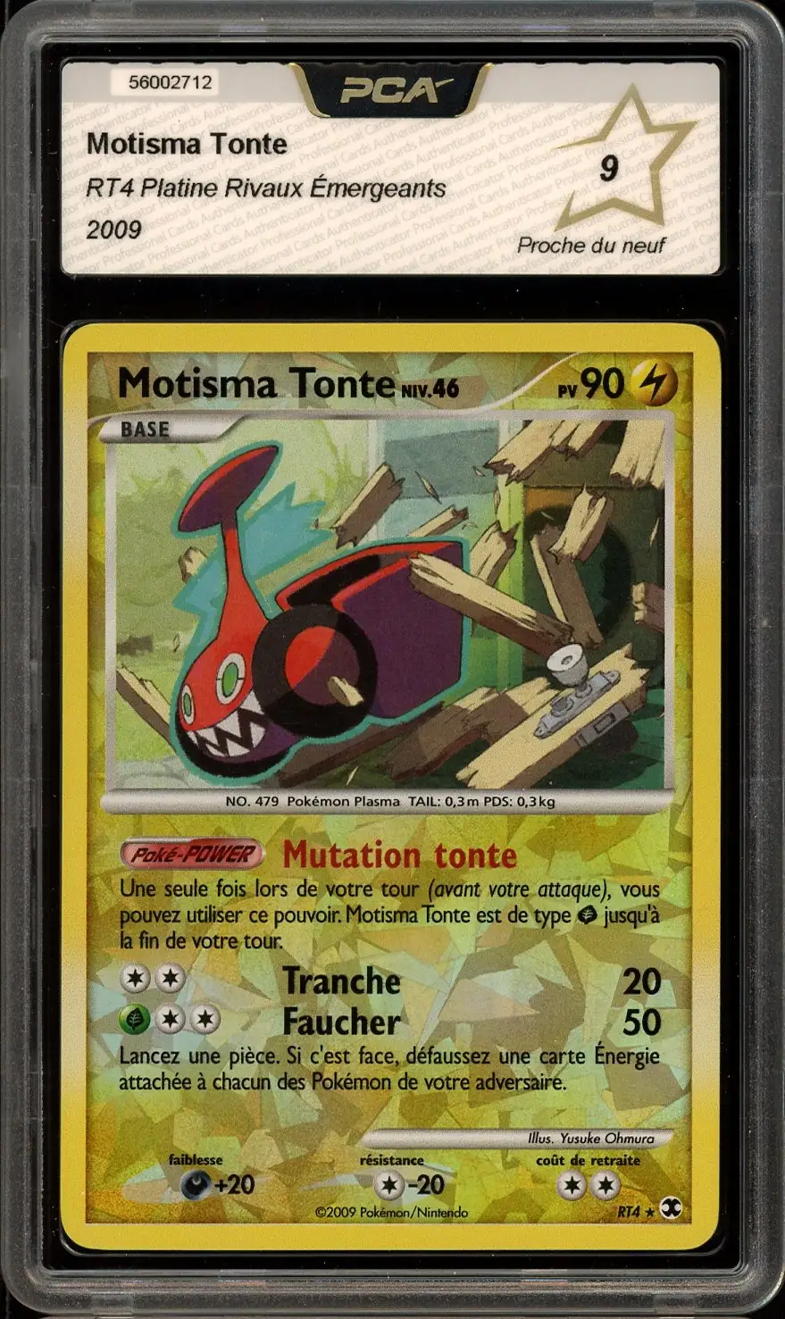 PCA 9 Motisma Tonte Reverse