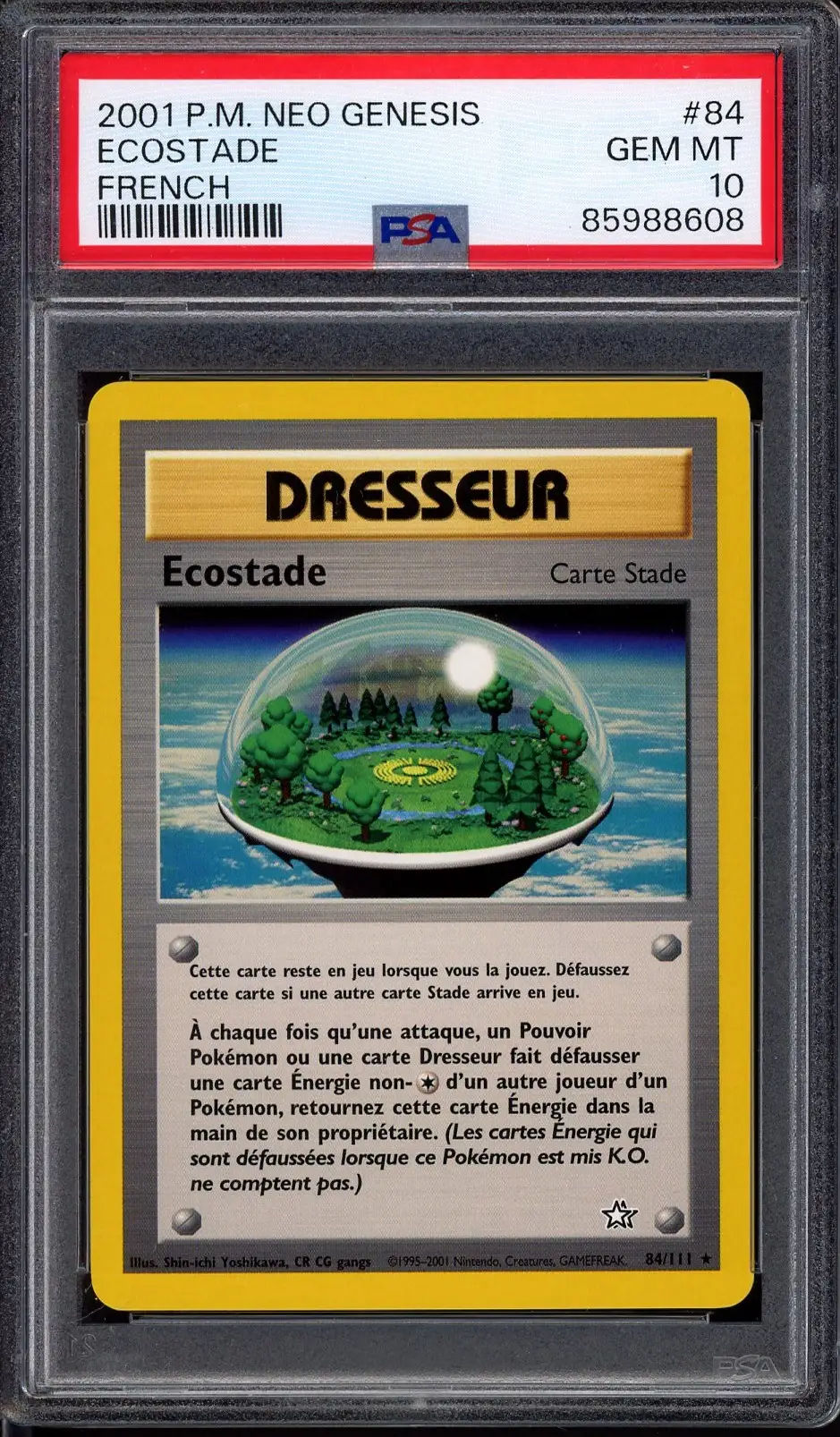 PSA 10 Ecostade