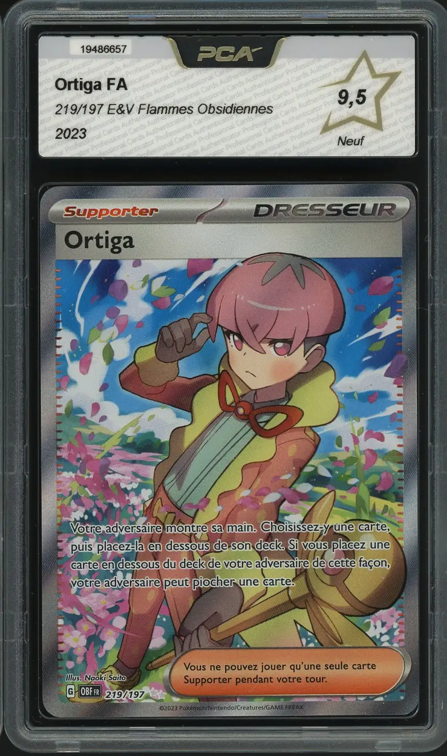 PCA 9.5 Ortiga
