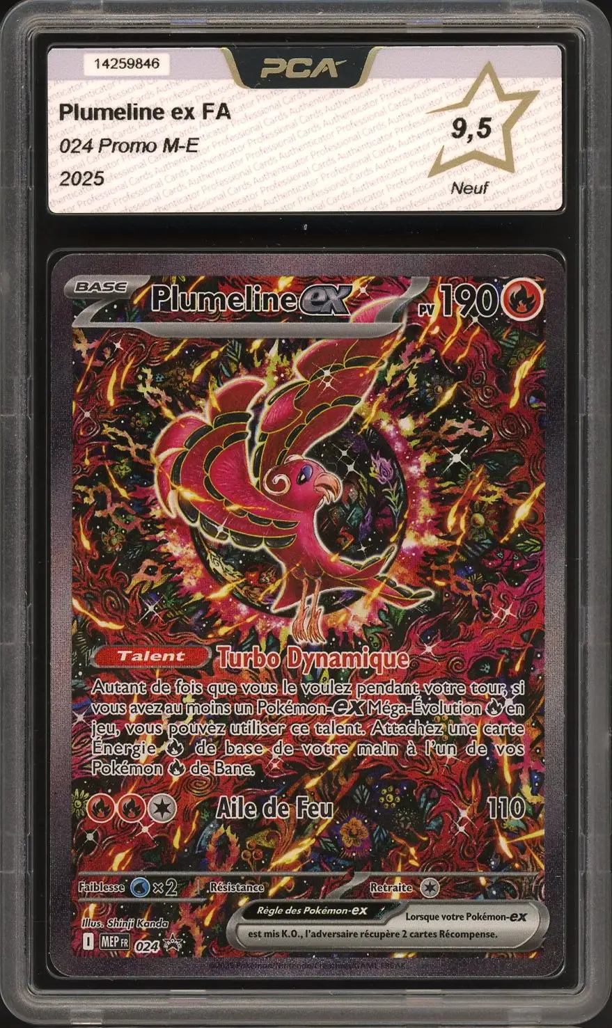 PCA 9.5 Plumeline Ex