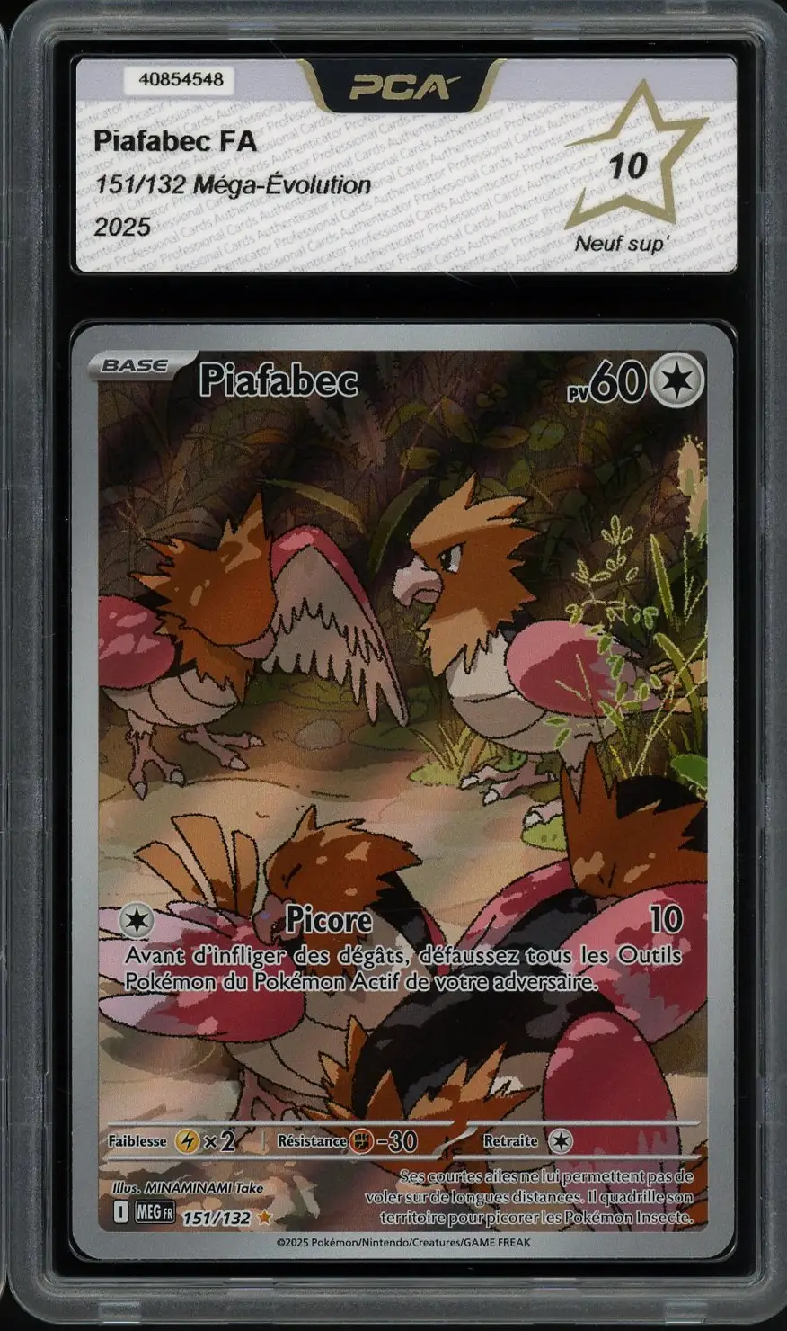 PCA 10 Piafabec
