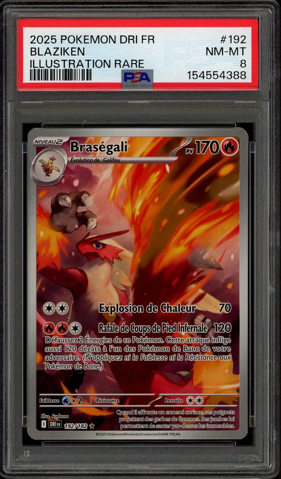 PSA 8 Braségali