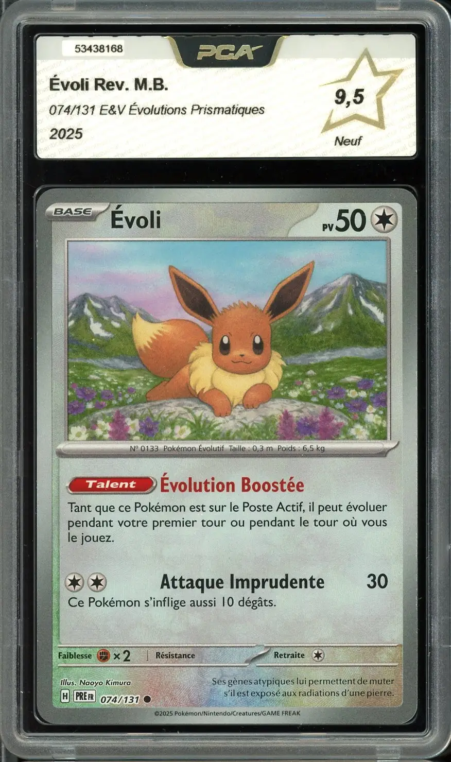 PCA 9.5 Evoli Reverse Masterball