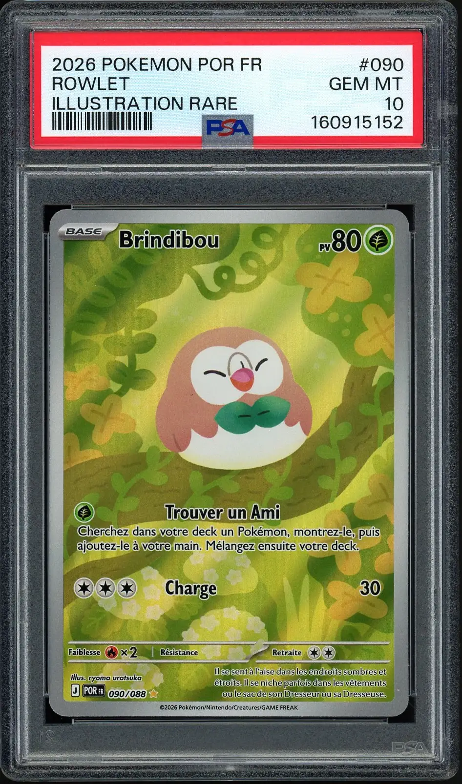 PSA 10 Brindibou
