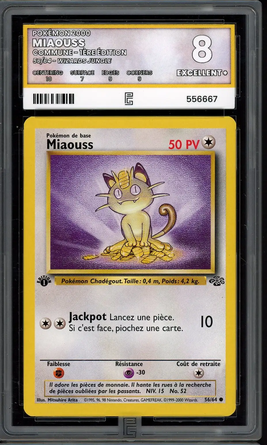 PG 8 Miaouss