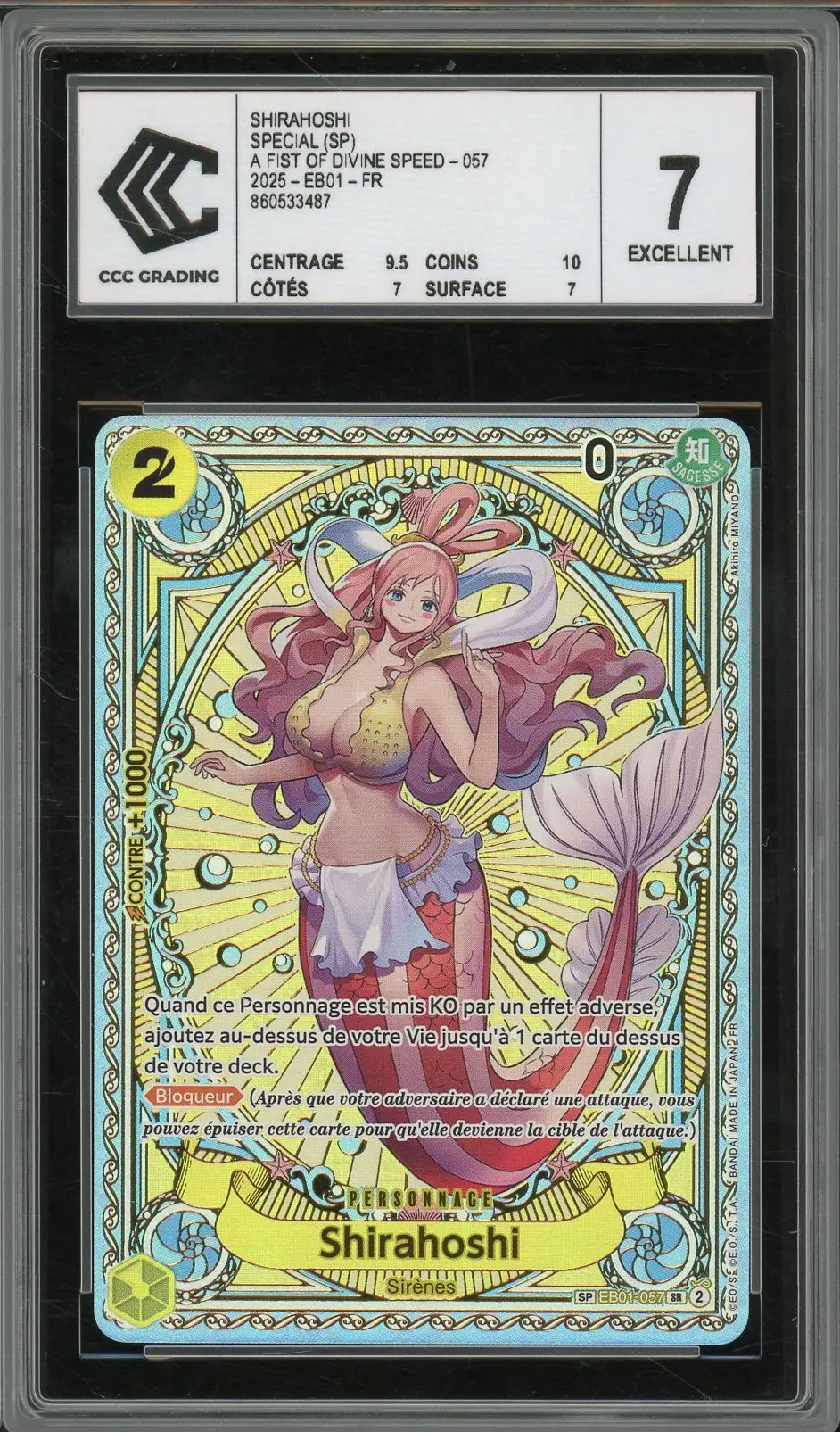 CCC 7 Shirahoshi
