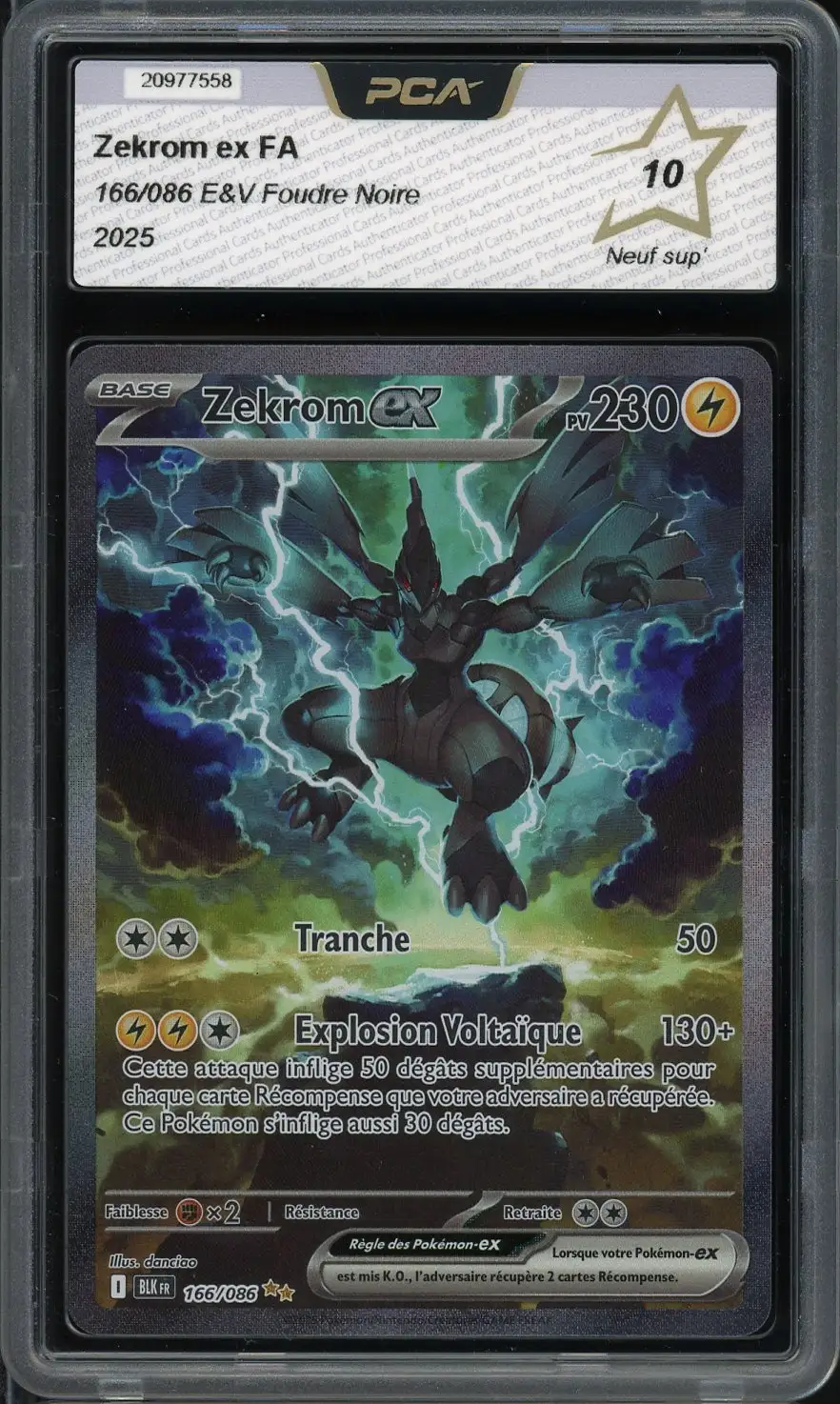 PCA 10 Zekrom Ex