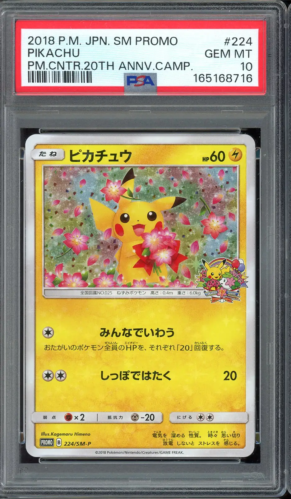 PSA 10 Pikachu Holo
