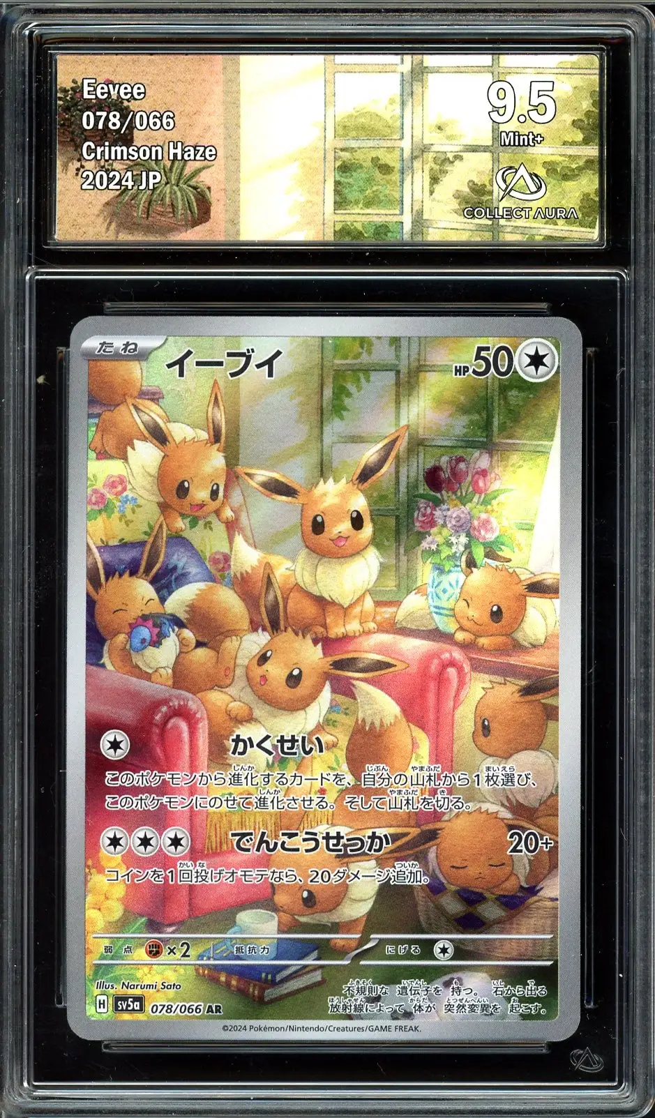 CA 9.5 Eevee
