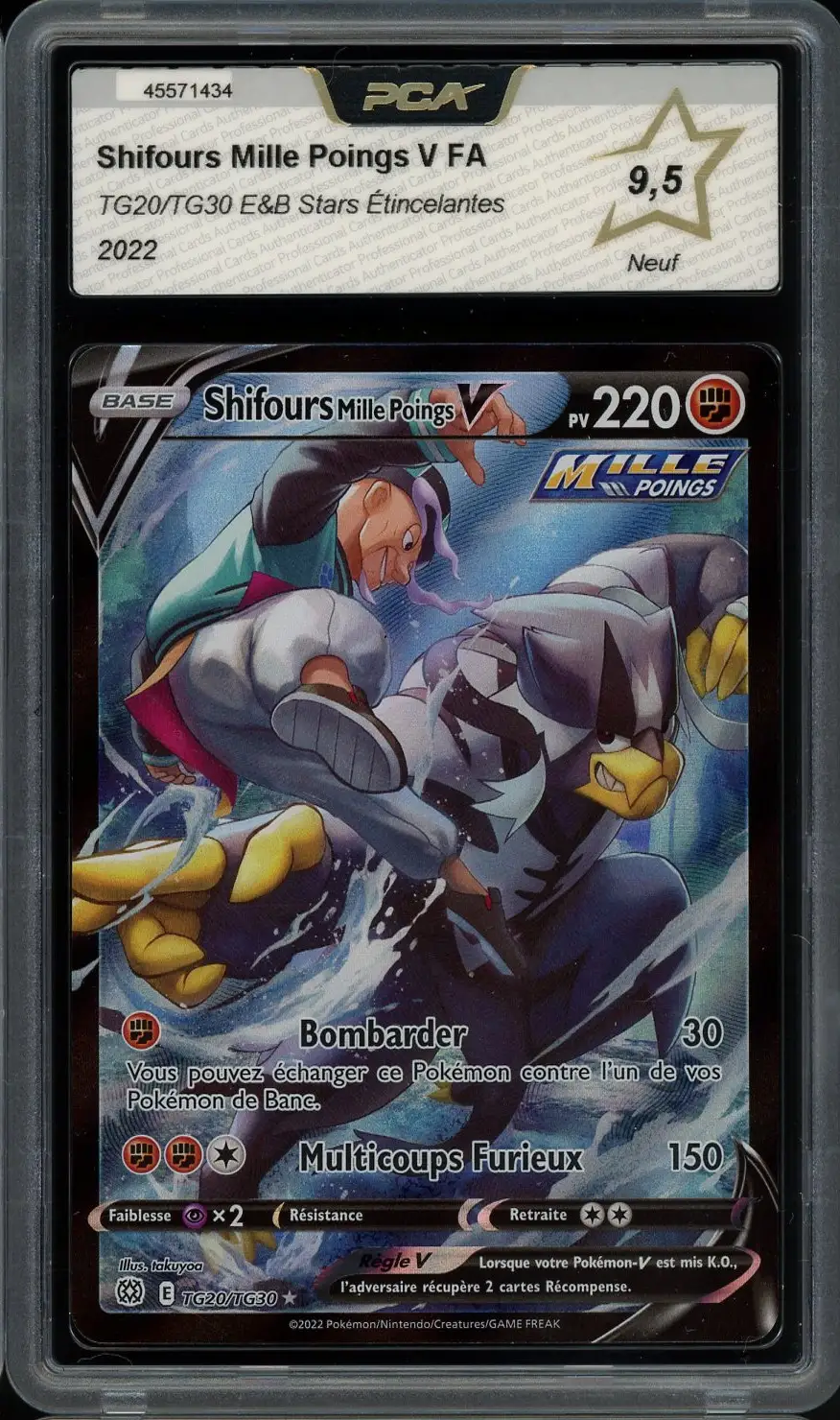 PCA 9.5 Shifours Mille Poings V