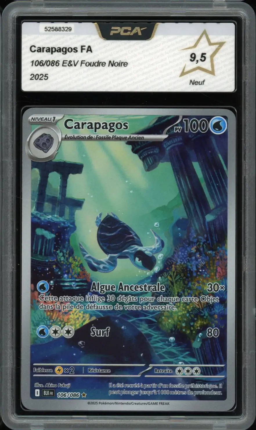 PCA 9.5 Carapagos
