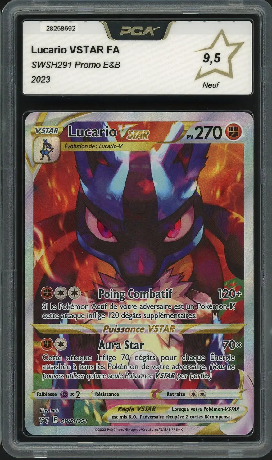 PCA 9.5 Lucario VStar