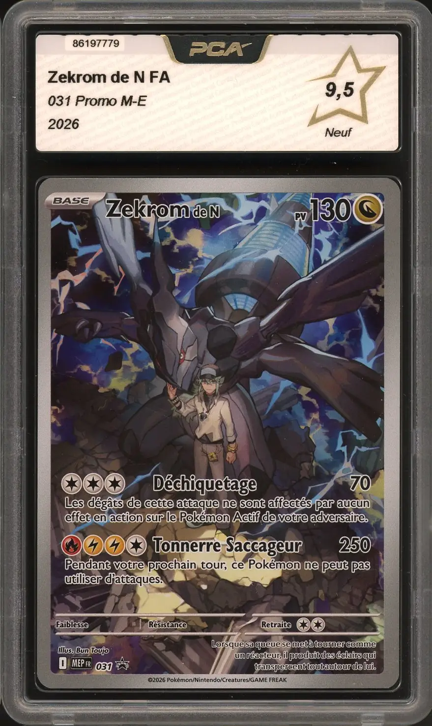 PCA 9.5 Zekrom de N