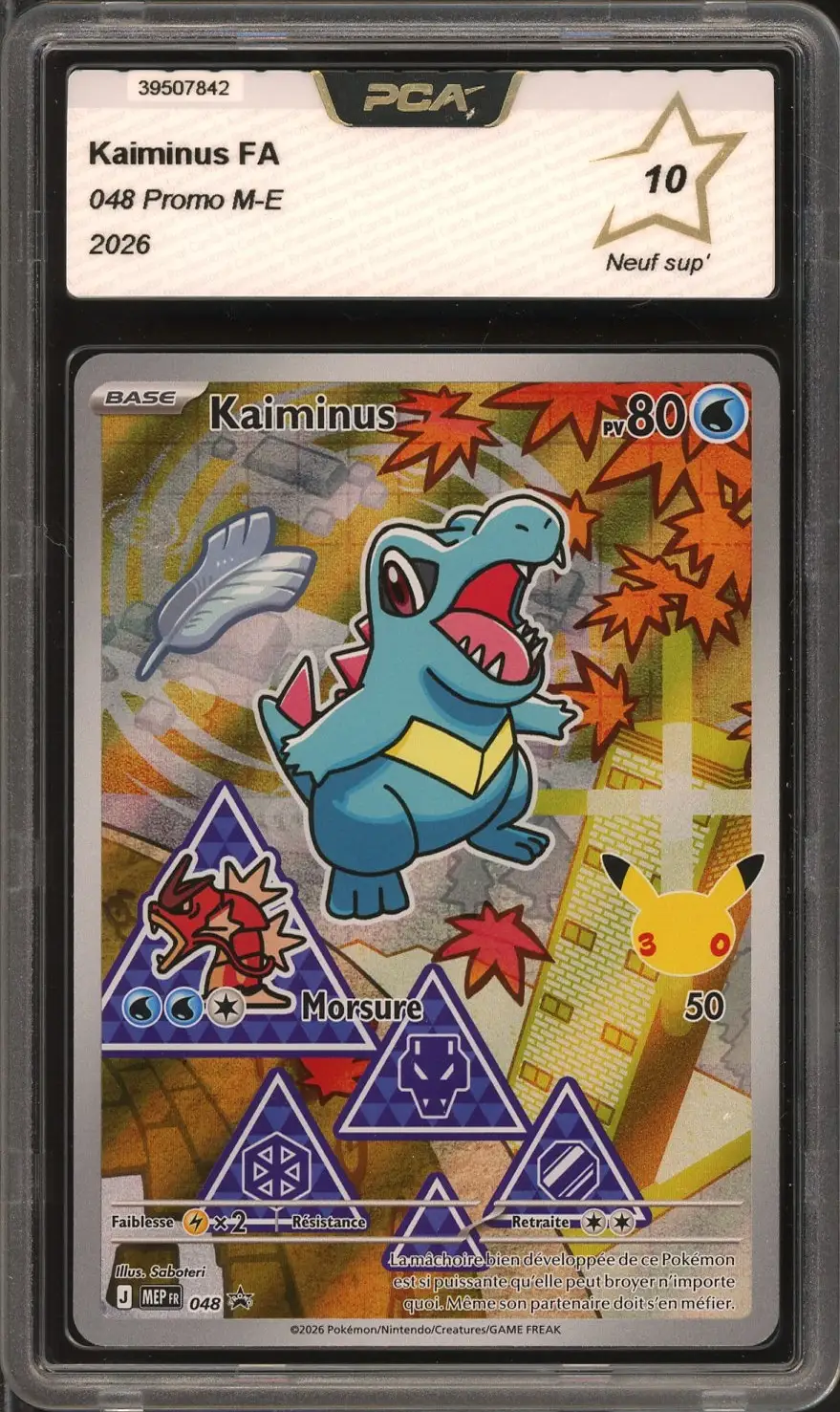 PCA 10 Kaiminus