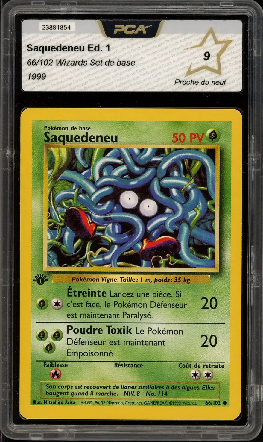 PCA 9 Saquedeneu