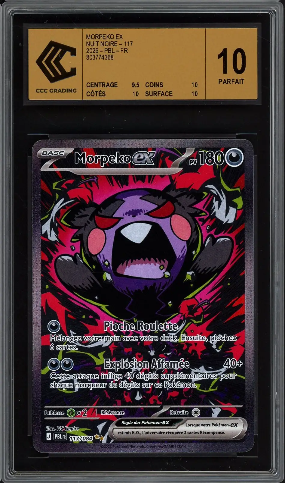 CA 10 Morpeko