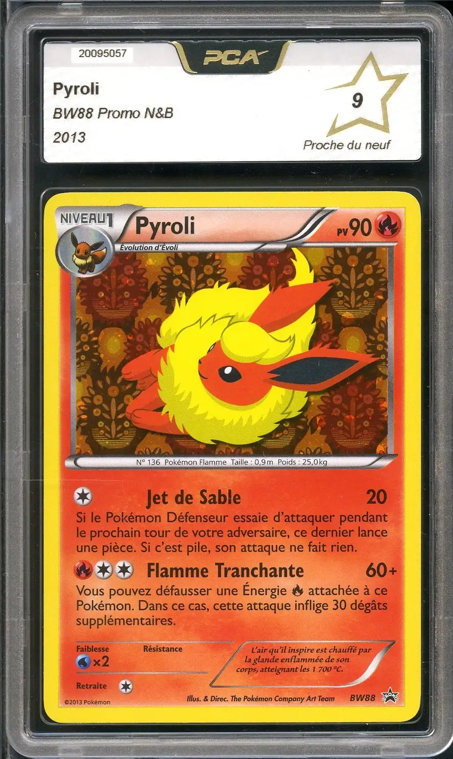 PCA 9 Pyroli Holo