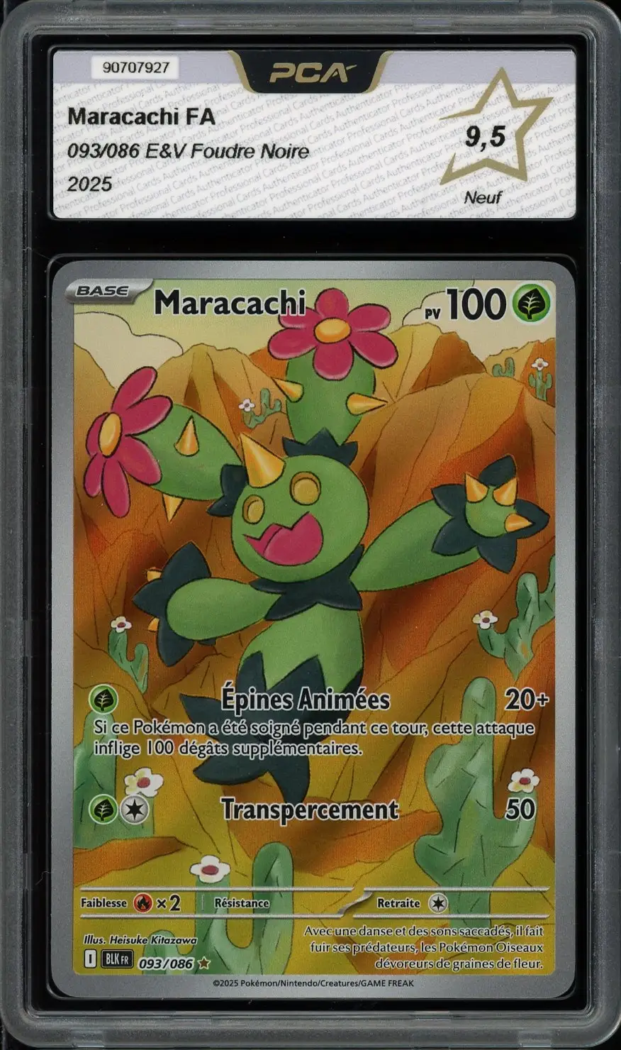 PCA 9.5 Maracachi