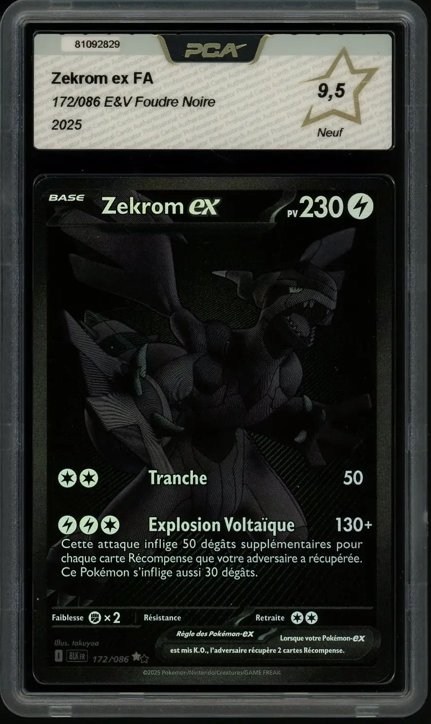 PCA 9.5 Zekrom Ex