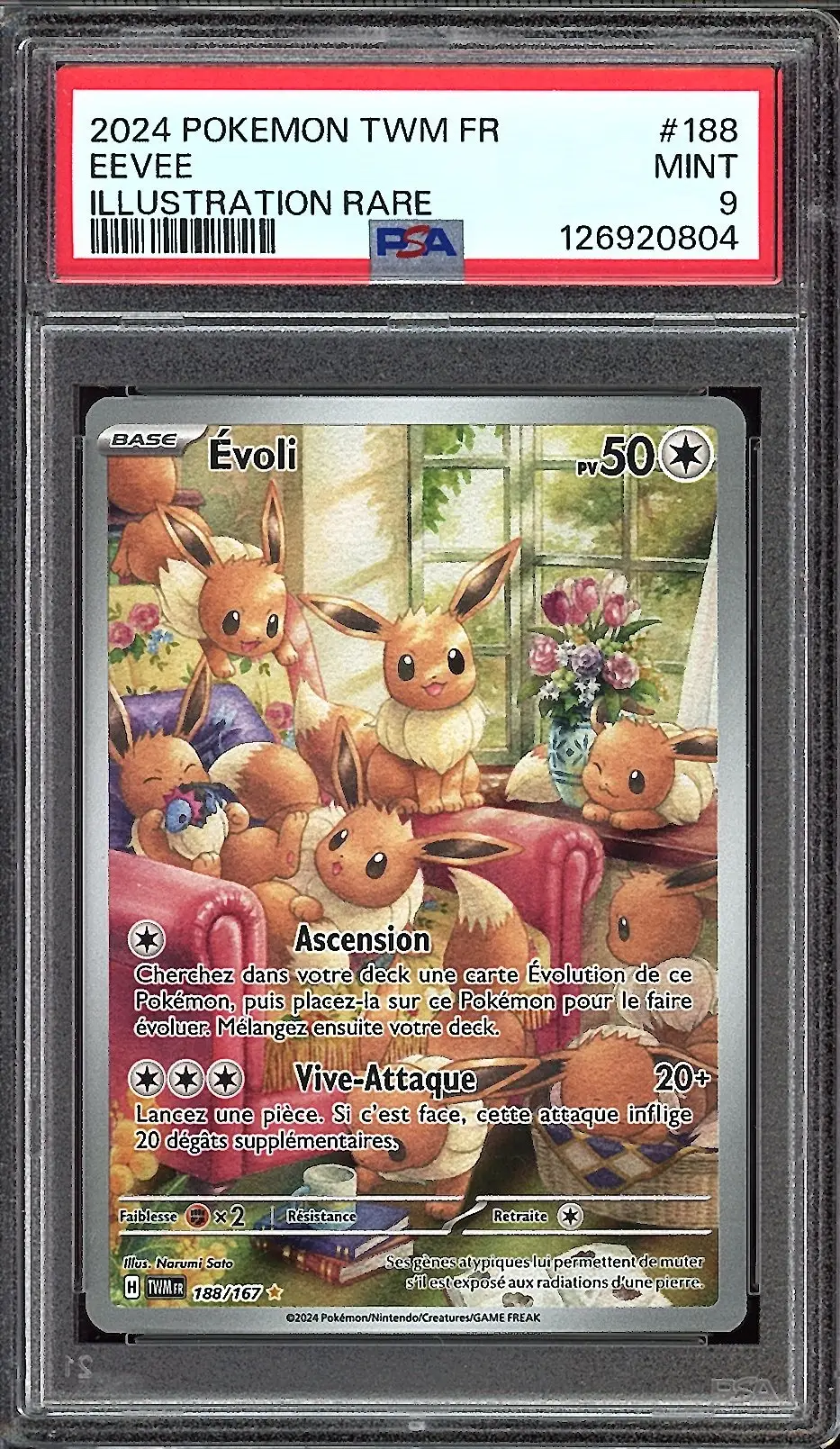 PSA 9 Evoli