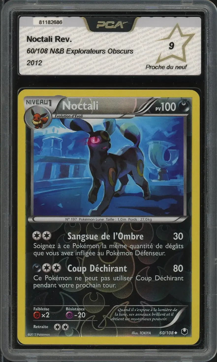 PCA 9 Noctali