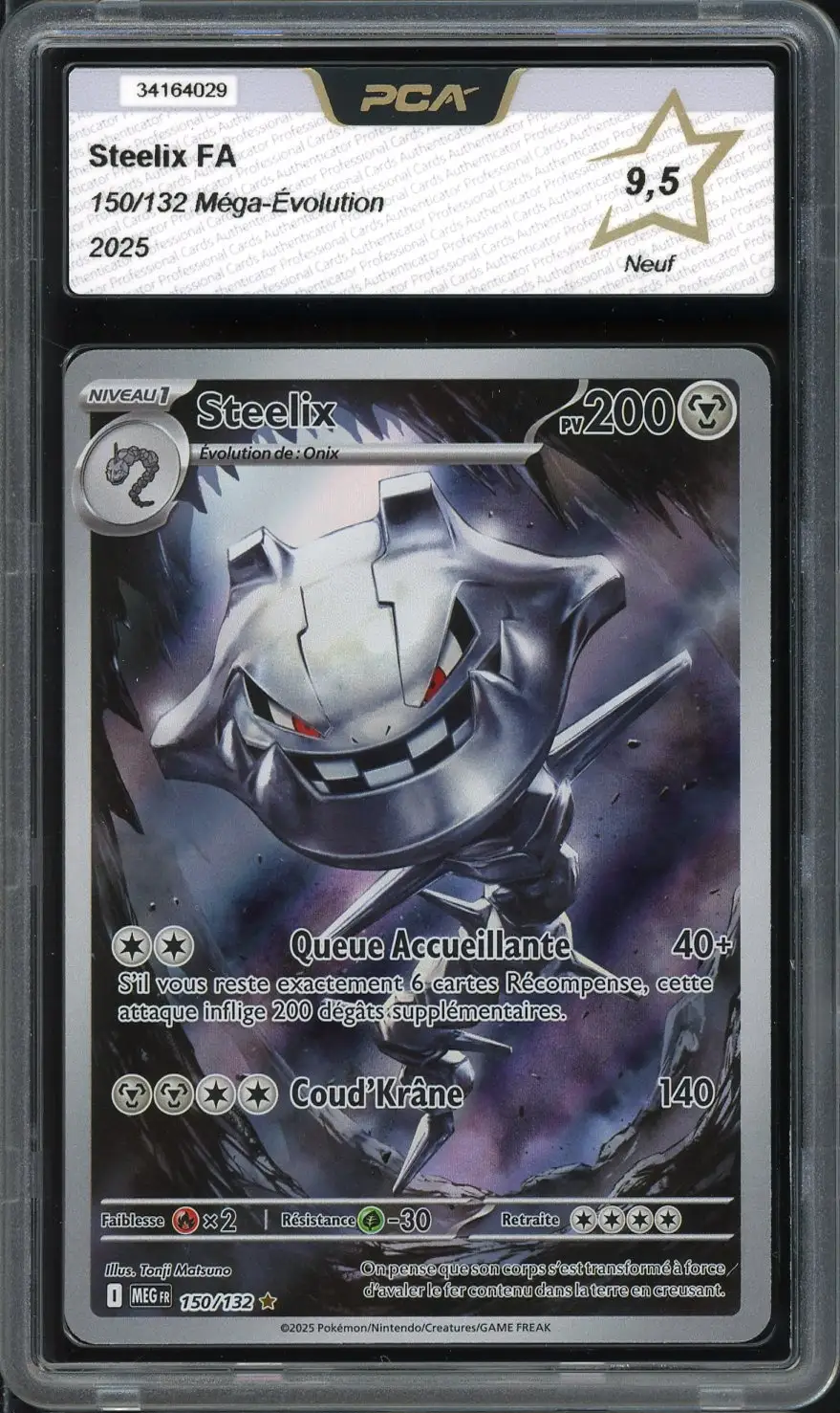 PCA 9.5 Steelix