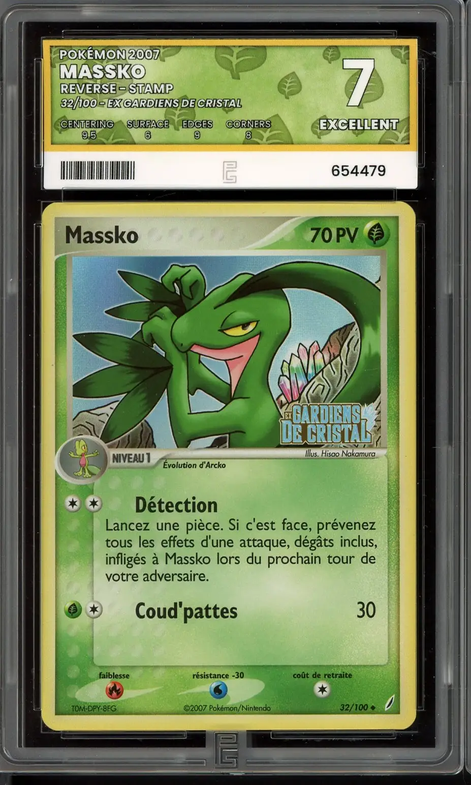 PG 7 Massko Reverse