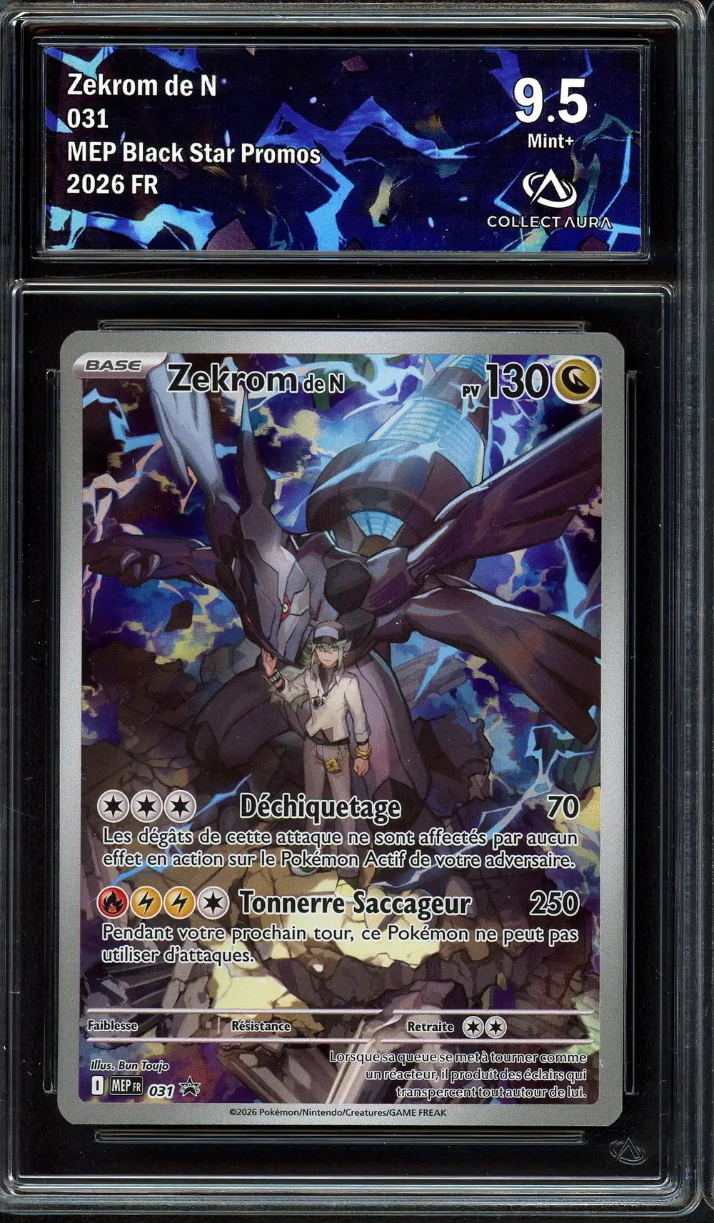 CA 9.5 Zekrom de N