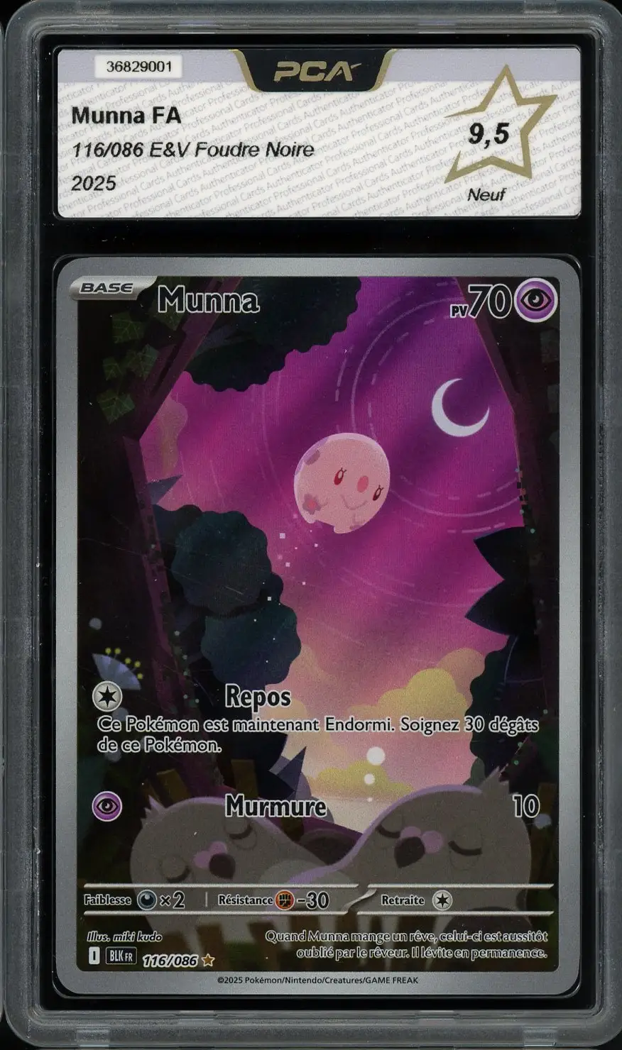 PCA 9.5 Munna