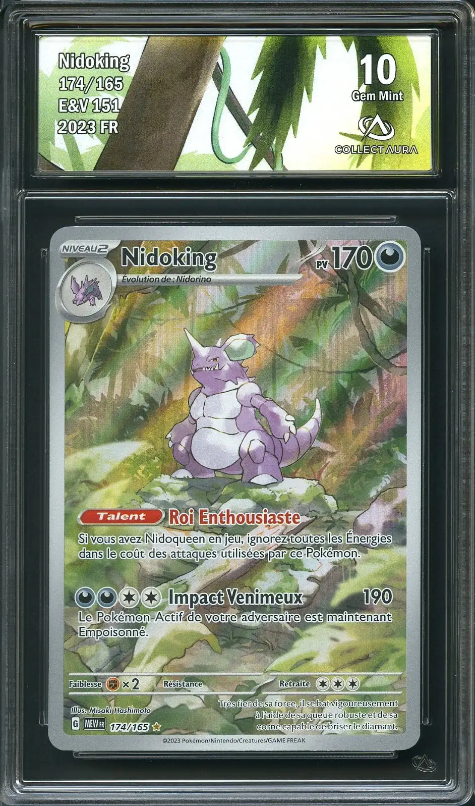 CA 10 Nidoking