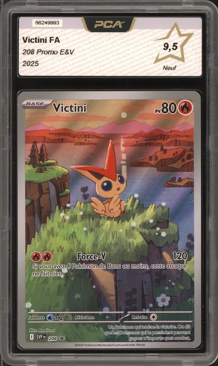 PCA 9.5 Victini