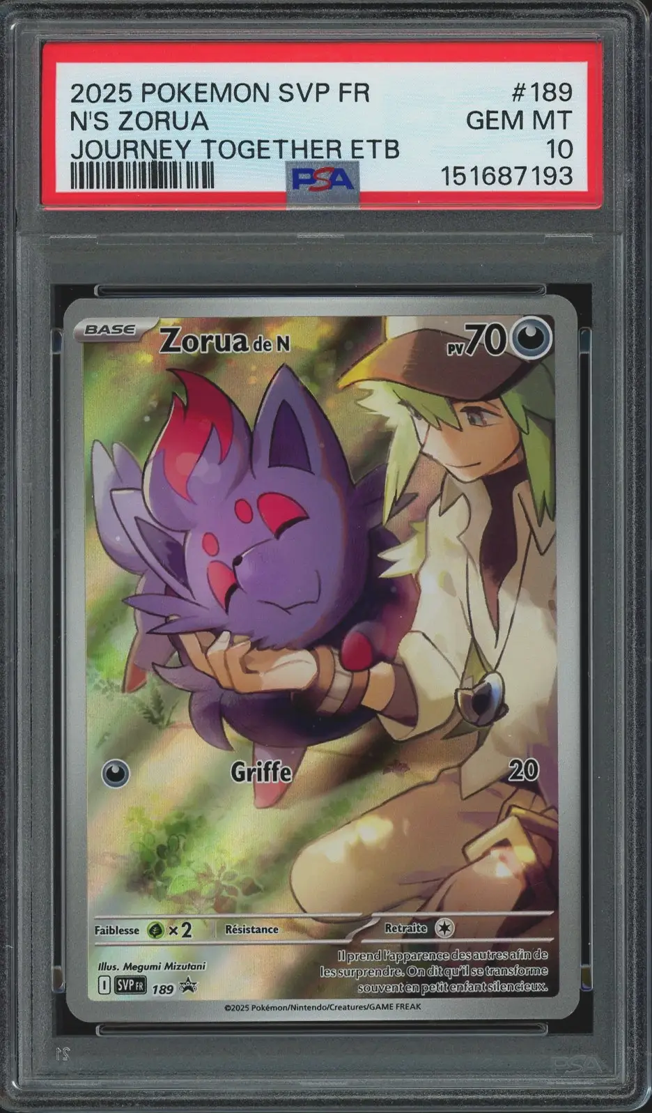 PSA 10 Zorua de N
