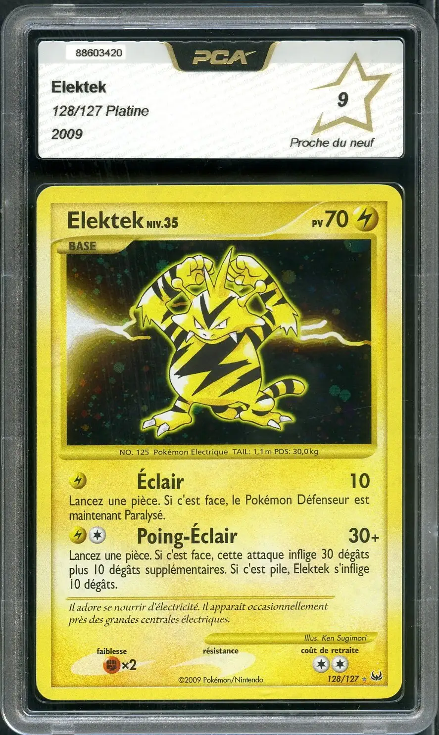 PCA 9 Elektek Holo