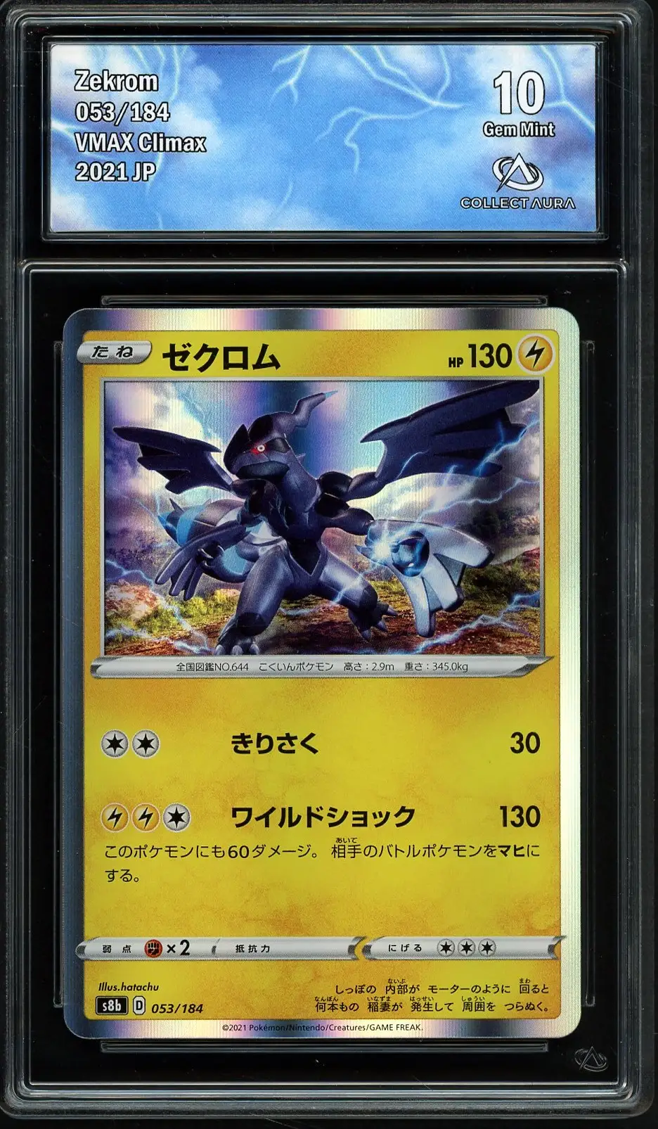 CA 10 Zekrom Holo