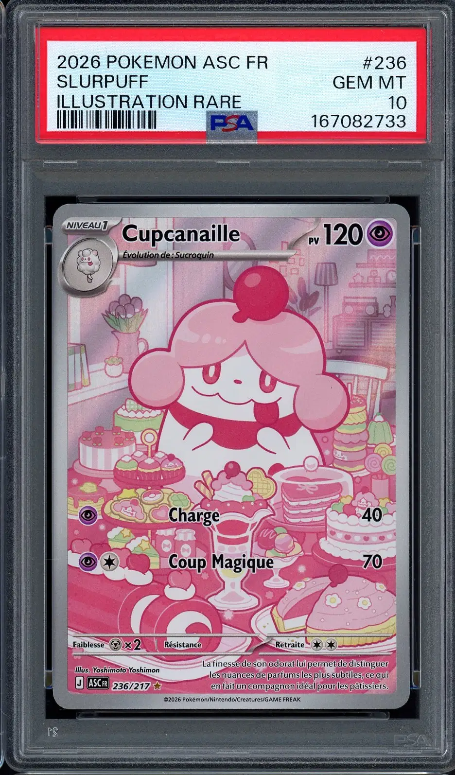 PSA 10 Cupcanaille