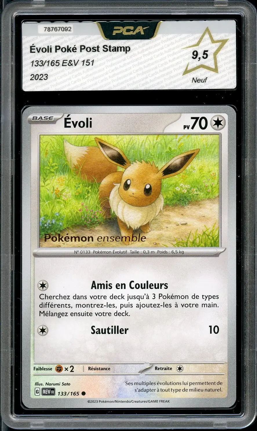 PCA 9.5 Evoli Poke Post Pop-Up Exclusive
