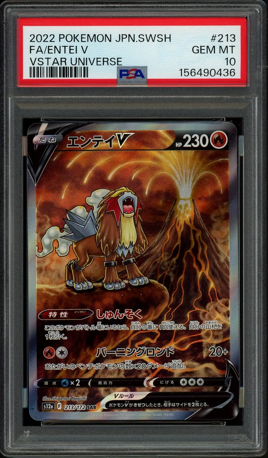 PSA 10 Entei V