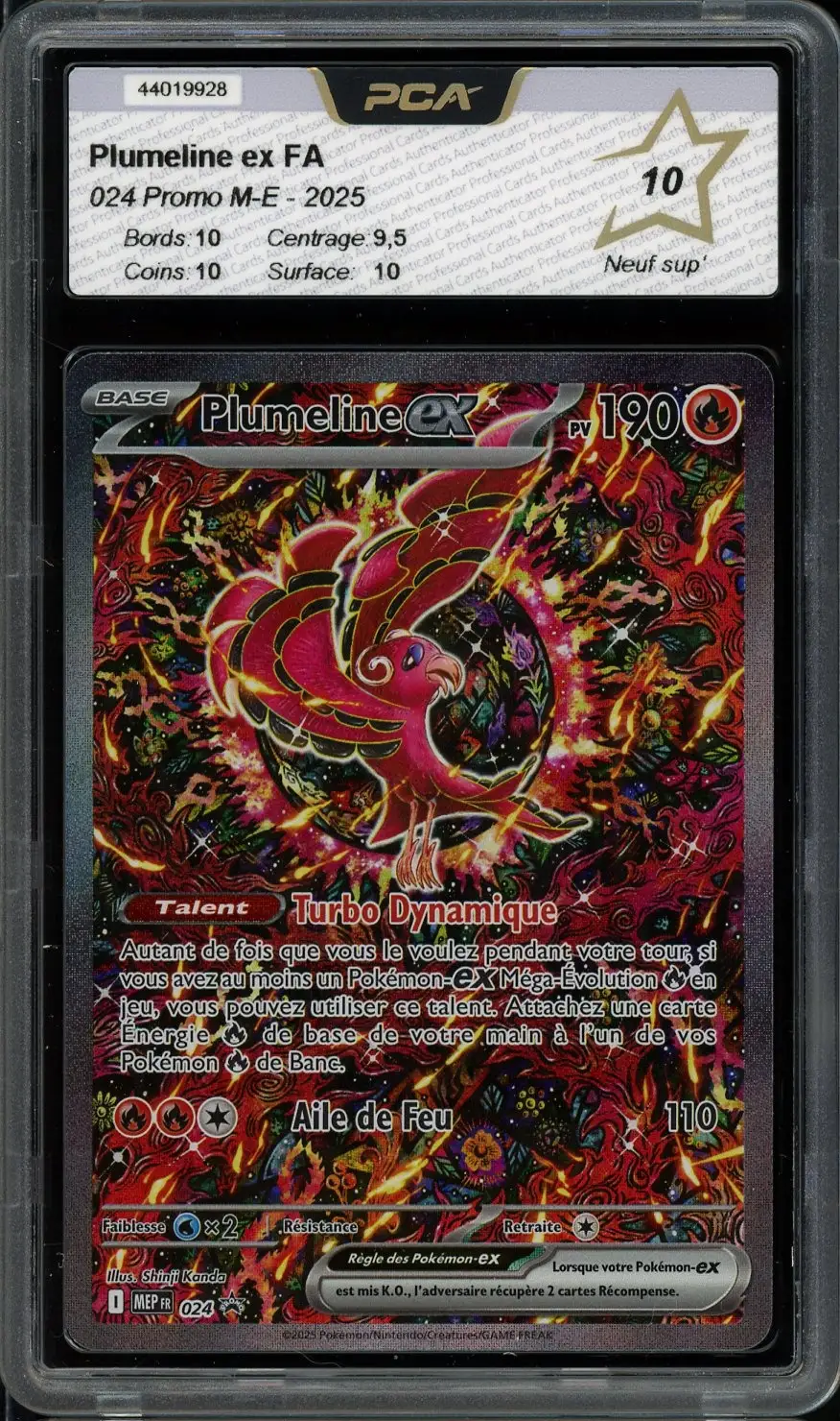 PCA 10 Plumeline Ex