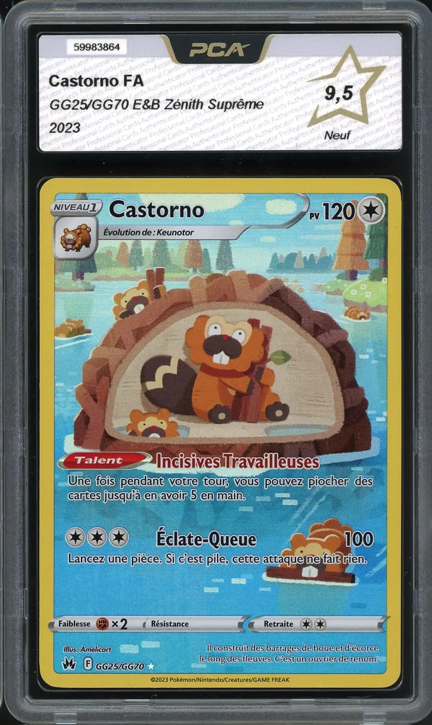PCA 9.5 Castorno