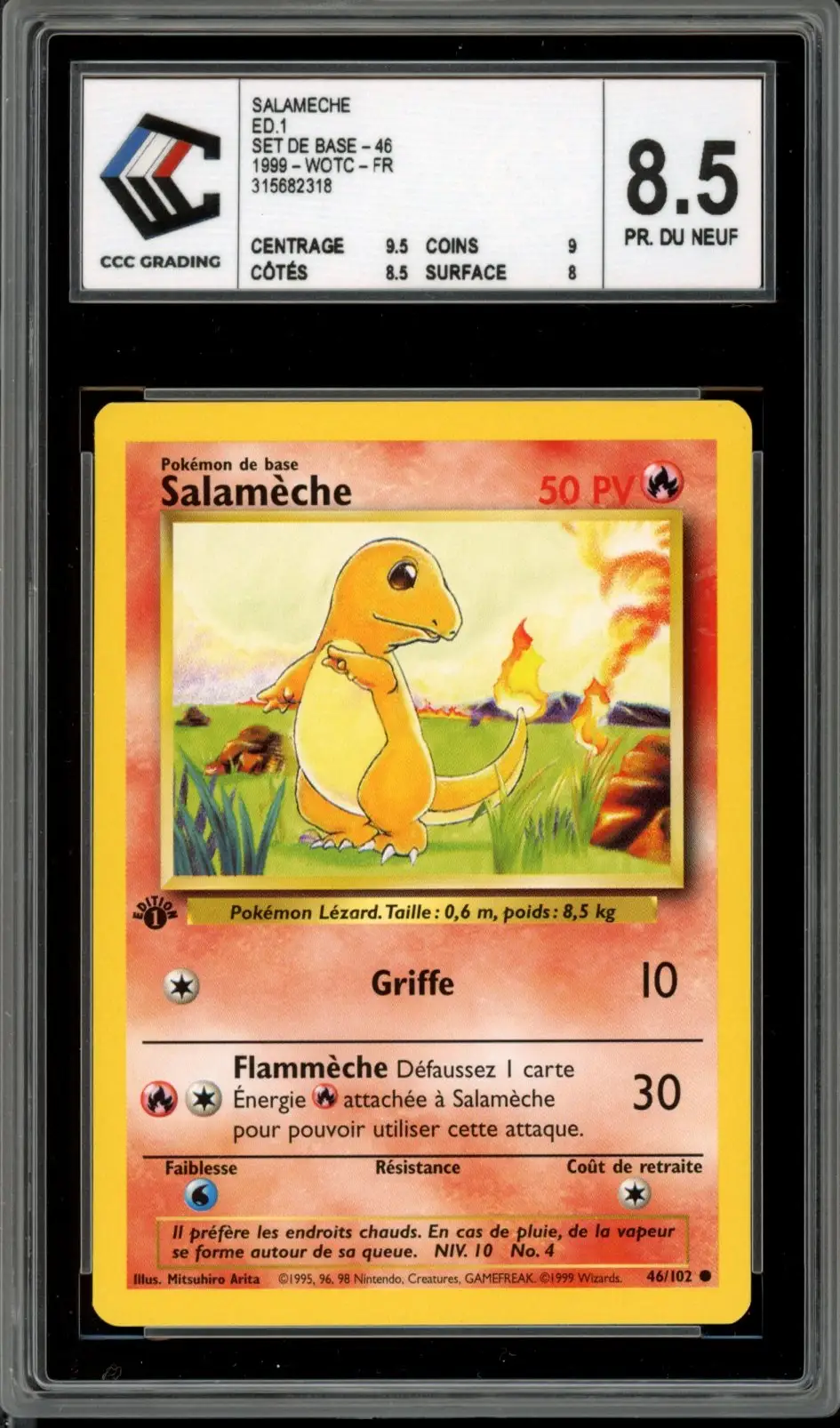 CCC 8.5 Salamèche