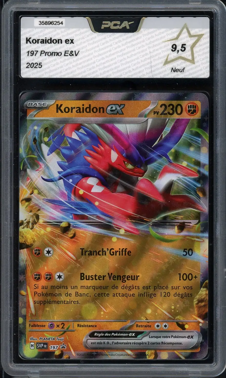 PCA 9.5 Koraidon Ex
