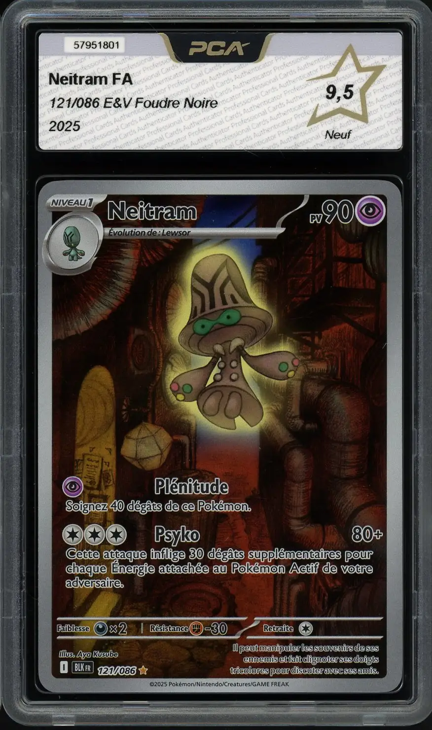 PCA 9.5 Neitram