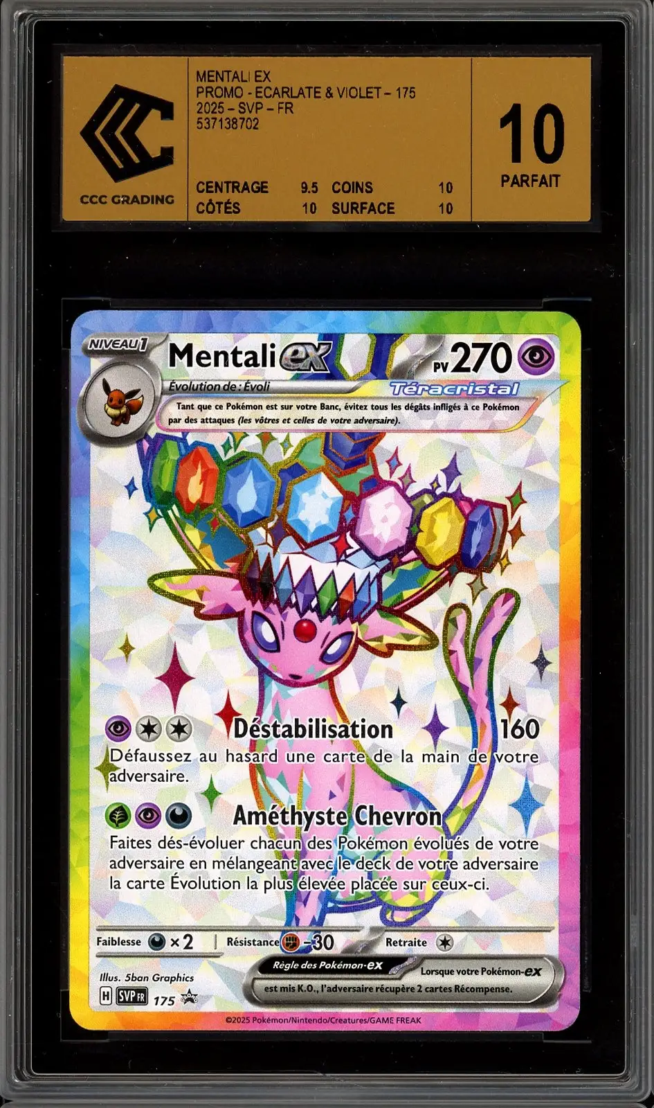 CCC 10 Mentali Ex