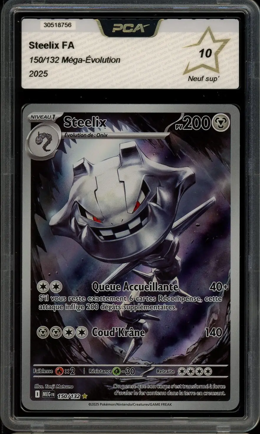 PCA 10 Steelix